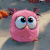 愤怒的小鸟 Angry Birds movie 卖萌 大眼 无辜 怕生 歪头
