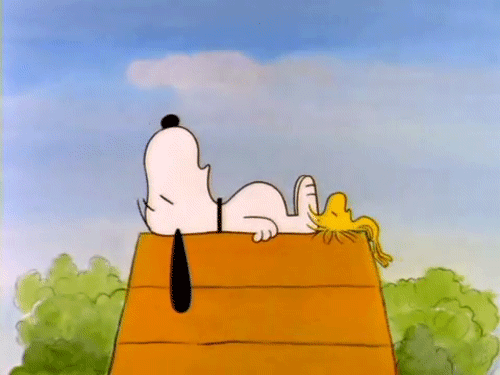 史努比 Snoopy 悠闲 睡觉