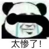 暴漫 熊猫头 太惨了 难受 搞怪 逗