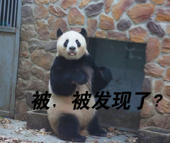 大熊猫 国宝 可爱 文字表情包 蠢萌