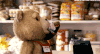 泰迪熊 Ted