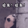 给我 熊猫