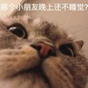 萌宠 猫星人 哪个小朋友还不睡觉 生气 呆萌 可爱
