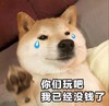萌宠 汪星人 你们玩吧 我已经没有钱了 呆萌 可爱