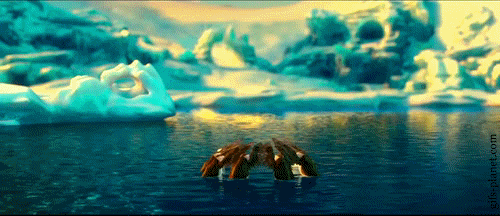 北极熊 海水 可爱 萌