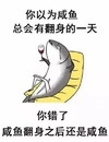 卡通 咸鱼 红酒 你以为咸鱼 翻身之后还是 咸鱼