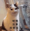 萌宠 猫星人 嗯嗯 没事 别管我 呆萌 可爱