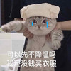 萌宠 猫星人 可以先不降温吗 我还没钱买衣服 呆萌 可爱