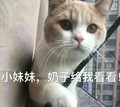 猫咪 可爱 大眼睛 小妹妹 奶子给我看看