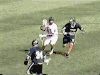 长曲棍球 lacrosse 进球 传球