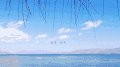 玉龙雪山 景点 soogif soogif出品