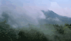山 自然景象 雾气 风景