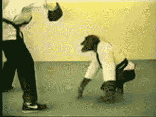 武术 运动  跳跃  猴子