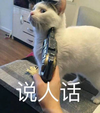 猫咪 喵星人 说人话 手枪 搞笑