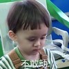 萌娃 本特利 不敢动 可爱 沙雕 萌萌哒