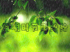 清明节