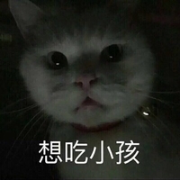 想吃小孩 猫咪 狂奔 黑暗 眼神 犀利