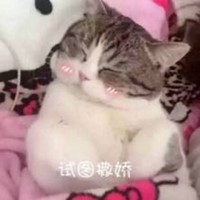 萌宠 猫星人 试图撒娇 卖萌 呆萌 逗