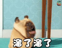 萌宠大作战 溜了溜了 soogif soogif出品