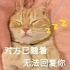 萌宠 猫星人 对方已睡着 无法回复你 呆萌 可爱