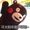 熊猫 脸红 可爱 可太阳非是不听呢