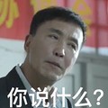 人民的名义 李达康 达康书记 吴刚  你说什么 斗图