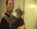 猫咪 可爱 萌宠 喵星人