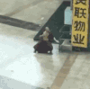 搞笑 逗比 厉害 666