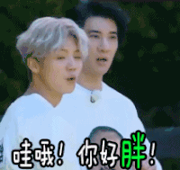 哇哦 你好胖 胖