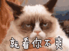 不爽 喵星人