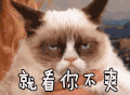 不爽 喵星人