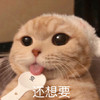 萌宠 猫星人 还想要 可怜 呆萌 可爱