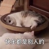 萌宠 猫星人 快乐都是别人的 无奈 呆萌 可爱