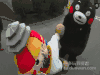 熊本熊 户外 玩耍 爱玩