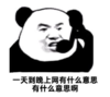 暴漫 文字表情包 一天到晚上网有什么意思 有什么意思啊 搞笑 沙雕 魔性