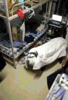 寝室 舞狮子 搞笑 基友