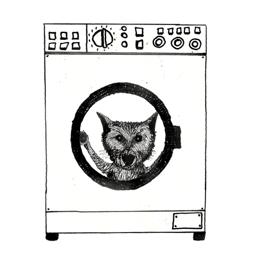 黑白的 black and white 洗衣机 猫