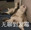 萌宠 猫星人 无聊到发霉 难受 搞怪 呆萌