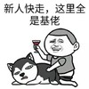 蘑菇头 搞笑 雷人 斗图 新人快走 这里全是基佬