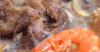 美食 美味 麻辣烫