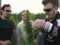 老外 墨镜 植物 摔倒