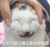 萌宠 喵星人 好生气哦可是还要保持微笑 脸上笑嘻嘻 可爱 呆萌