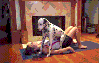 狗狗 健身 美女 欧美 搞笑