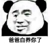 熊猫头 暴漫 爸爸白养你了 搞笑 逗 沙雕