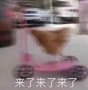 搞笑 蠢萌 大杂烩 沙雕 逗