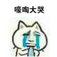 逗 蠢萌 哭 没人撩我 搞笑