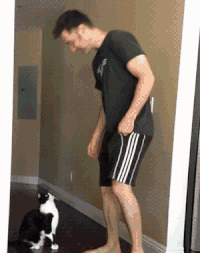 猫咪 主人 抱抱 可爱