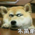 狗狗 斜眼睛 爪子 不简单