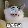 萌宠 猫星人 我太难了 委屈 大哭
