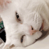 困 sleepy 睡觉